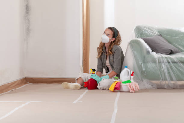 Reliable Mold Cleanup contractor in Zieglerville, PA by WQB Mold Removal